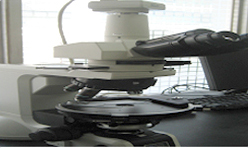 Polarized Light Microscope (PLM)
