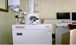 Scanning electron microscope (SEM/EDX)